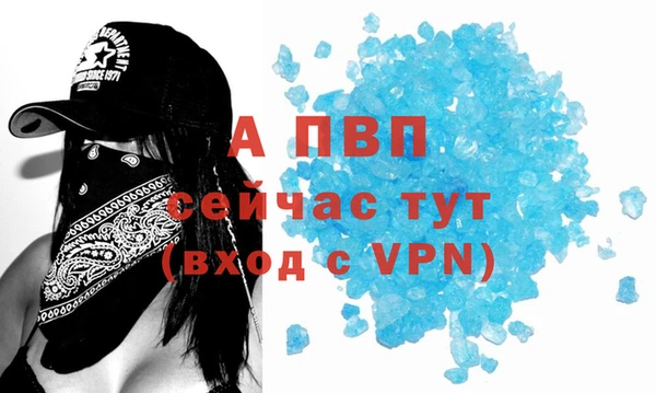 кокс Арсеньев